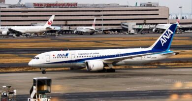 All Nippon Airways Boeing 787-8 at Haneda Airport with Japan Airlines planes in background