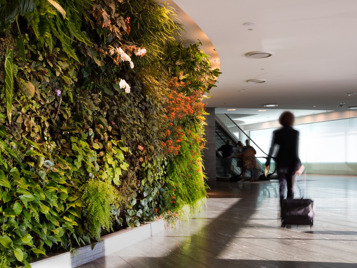 Entry to the Qantas SYD First Lounge