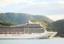 Cruise ship docked alongside an island