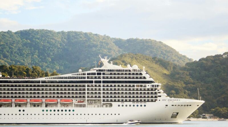 Cruise ship docked alongside an island