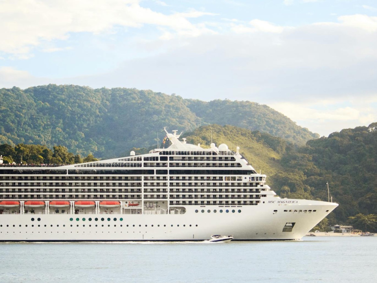 Cruise ship docked alongside an island