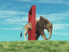 Giraffe entering a door and gets out as an elephant . Changing mindset and different approach concept . Life changing decision and new opportunities . This is a 3d render illustration .