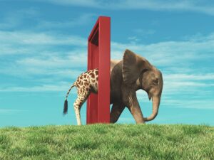 Giraffe entering a door and gets out as an elephant . Changing mindset and different approach concept . Life changing decision and new opportunities . This is a 3d render illustration .