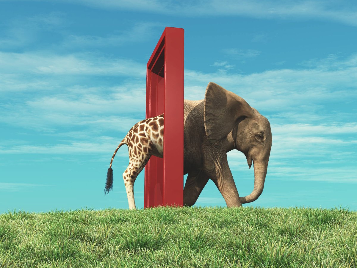 Giraffe entering a door and gets out as an elephant . Changing mindset and different approach concept . Life changing decision and new opportunities . This is a 3d render illustration .