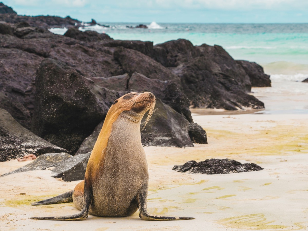 Galapagos Islands, Ecuador