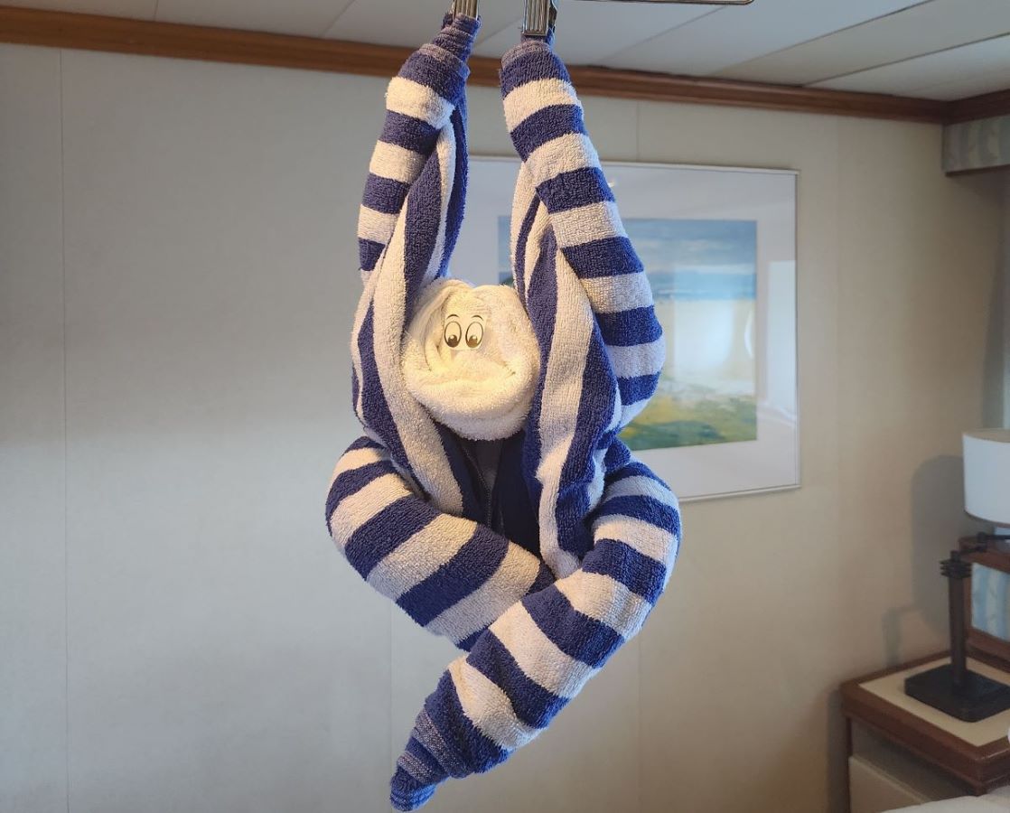 Carnival Cruise Towel Monkey