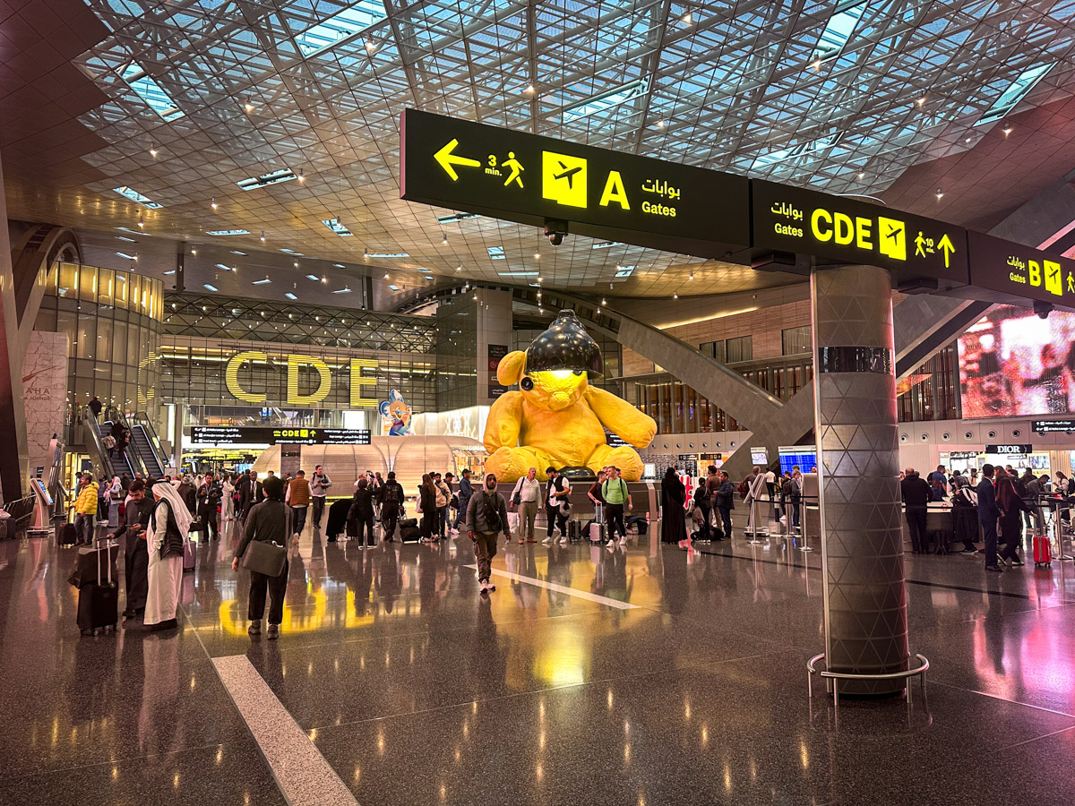 Bear at Hamad International Airport in Doha, Qatar