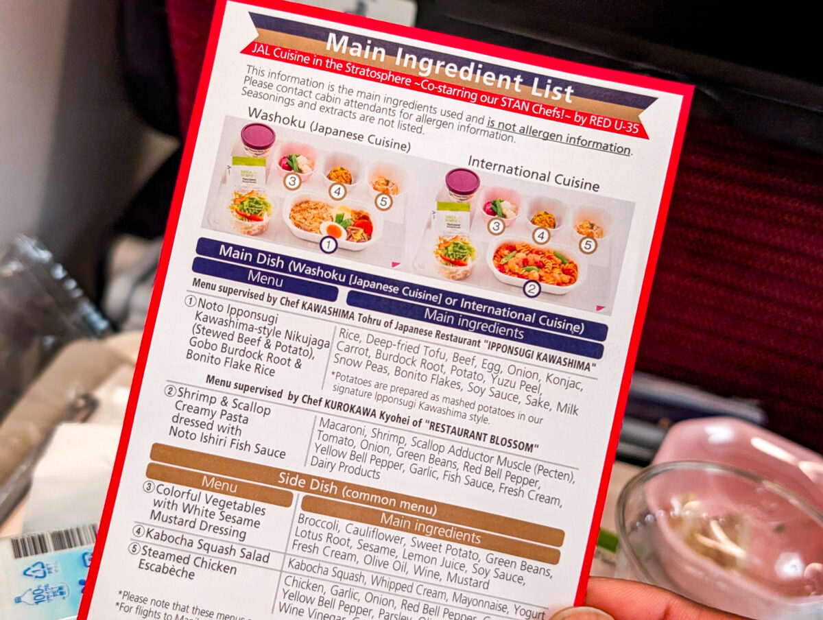 JAL Economy class explanations