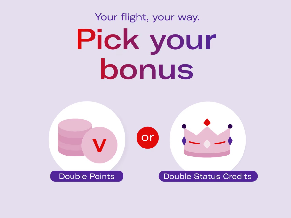 Velocity Frequent Flyer Pick your bonus offer banner